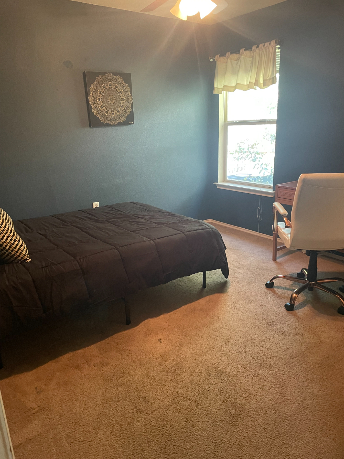 Whole home rental in South Austin|Community Pool|3bedrooms, 2 bath|Large backyard - Photo 4