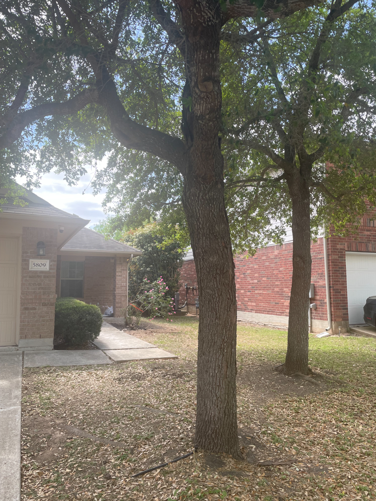Whole home rental in South Austin|Community Pool|3bedrooms, 2 bath|Large backyard - Photo 7