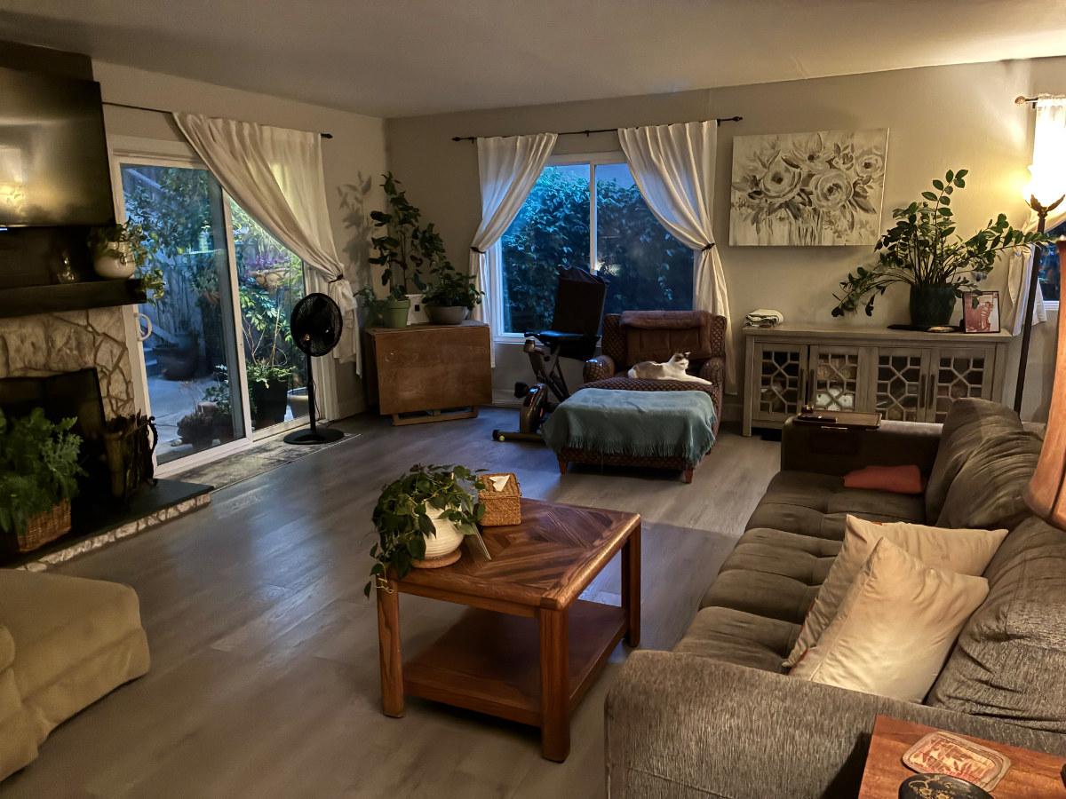 Peaceful safe Cozy home in Historic LaMesa Village - Photo 3