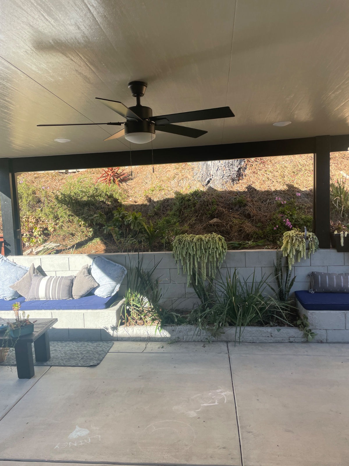 Peaceful safe Cozy home in Historic LaMesa Village - Photo 4