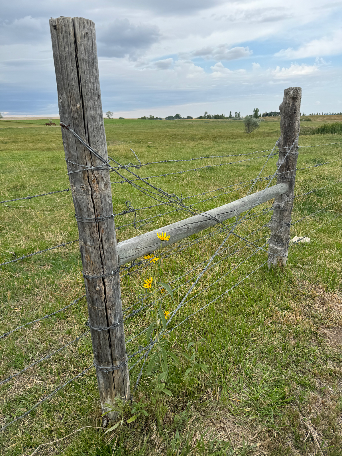 Private Country Living w/ Mountain Views - Photo 12