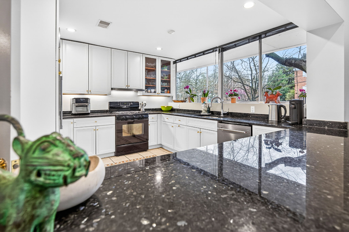 Mid Century Modern Oasis near metro, zoo, rock creek park and more - Photo 11