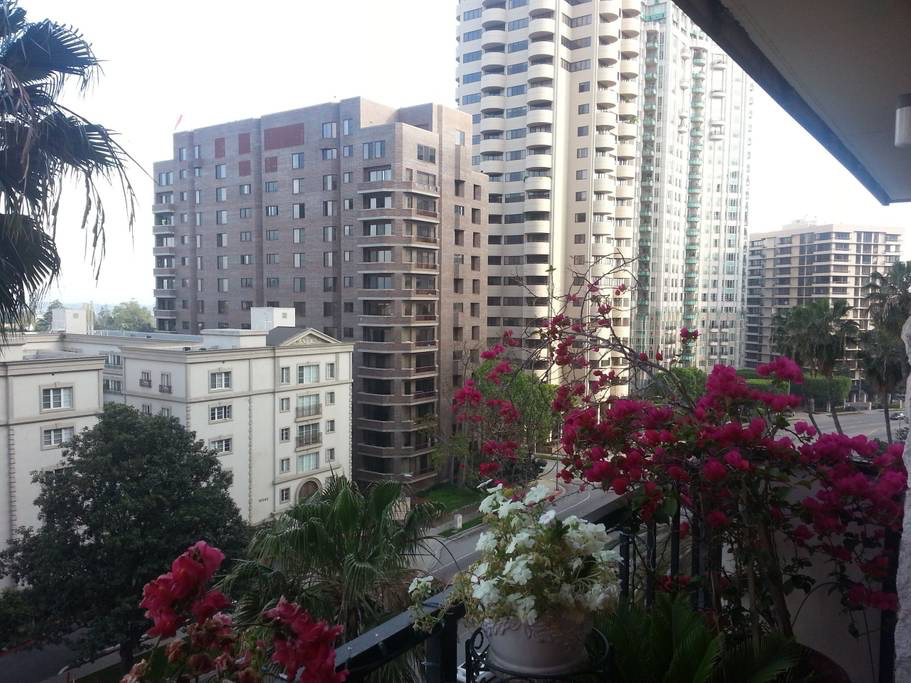 Room Close to UCLA/Wilshire Blvd. (Westwood/Los Angeles) - Photo 4