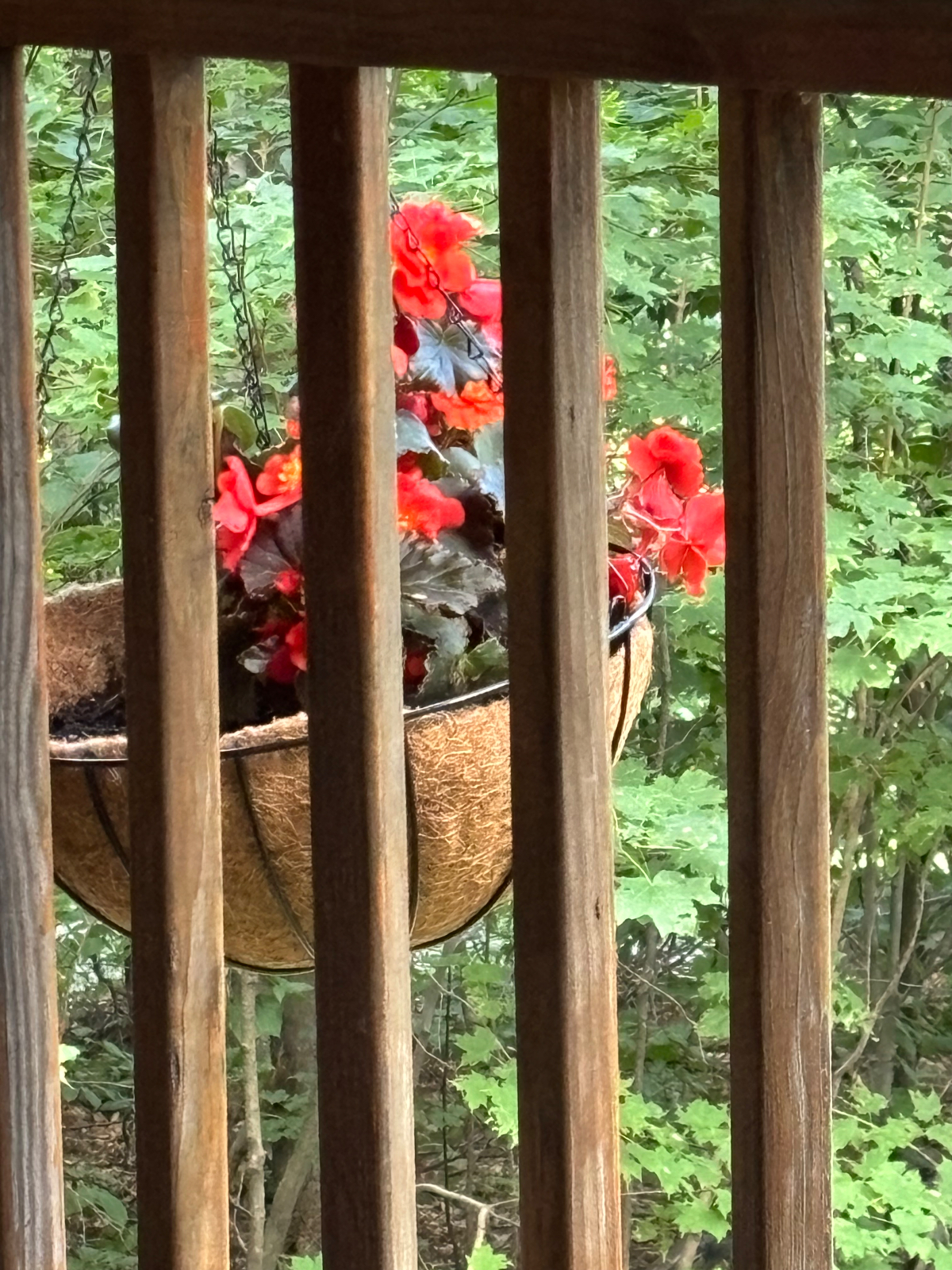 Little House on The Hill - Photo 11
