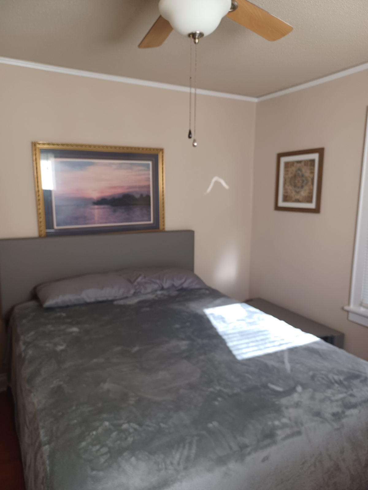 College Park - Close to everything - Photo 3