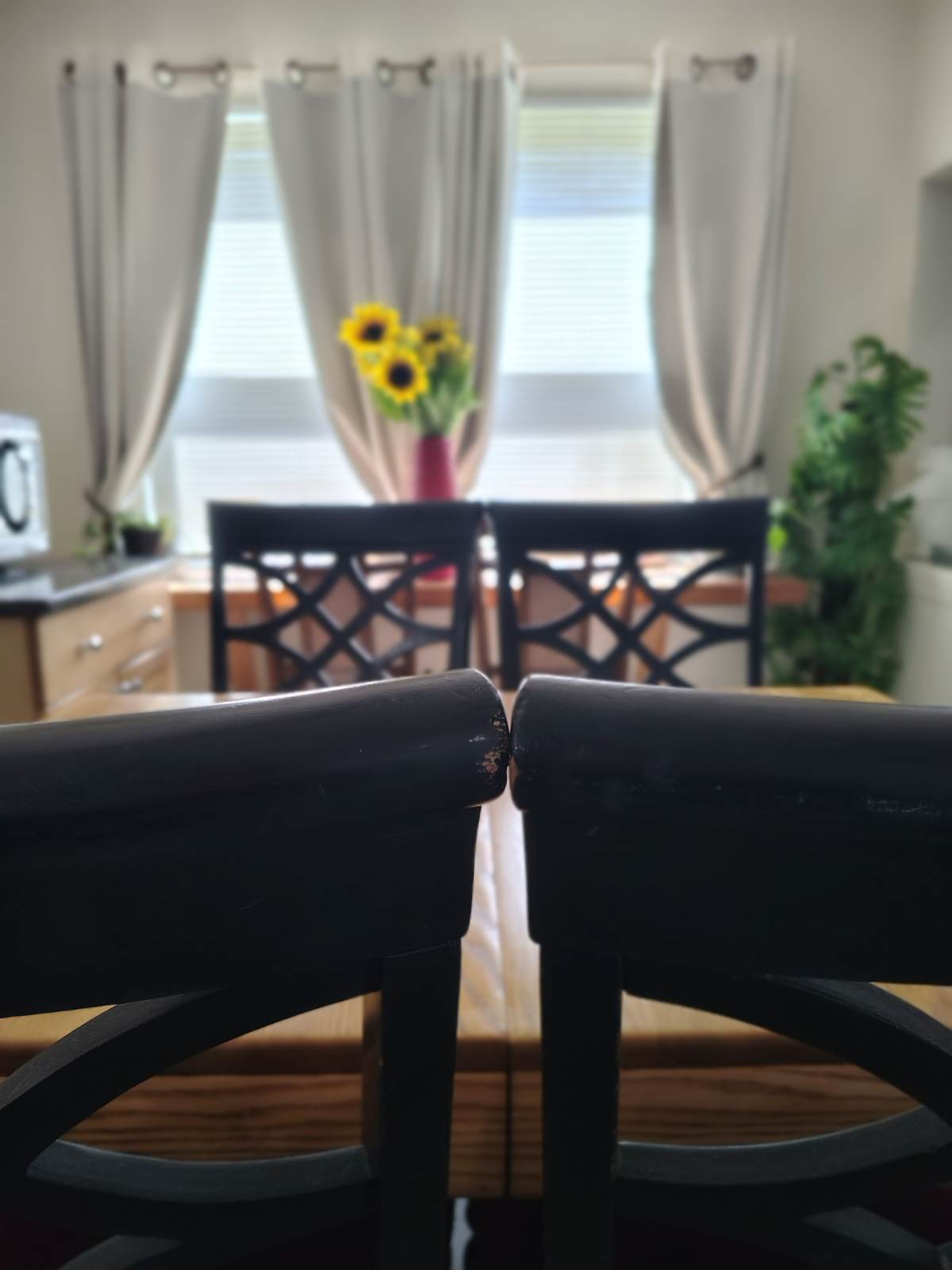 New Unit - Photo 4