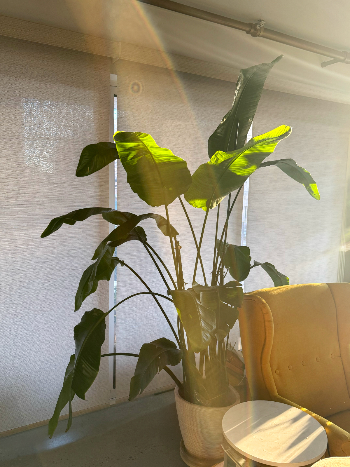 Stylish 2BR Apartment with Private Elevator Entry & Wrap-Around Balcony in Luxury Building with Prem - Photo 7