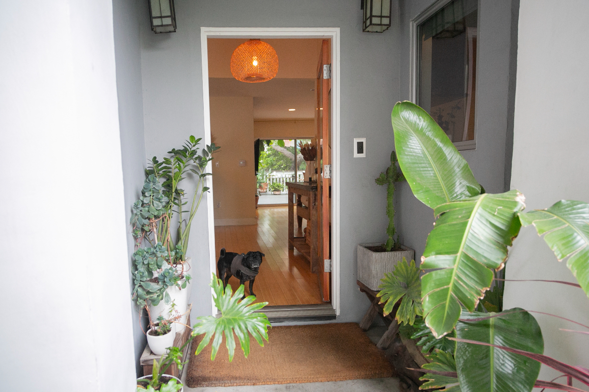 Beautiful remodeled 3 bedroom 2 bath home with great indoor/outdoor flow. - Photo 5