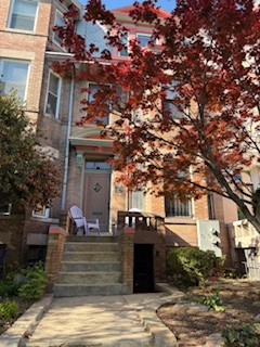 Spacious Apt in Great DC Neighborhood - 6-month contract minimum - Photo 1