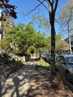 Spacious Apt in Great DC Neighborhood - 6-month contract minimum - Photo 2
