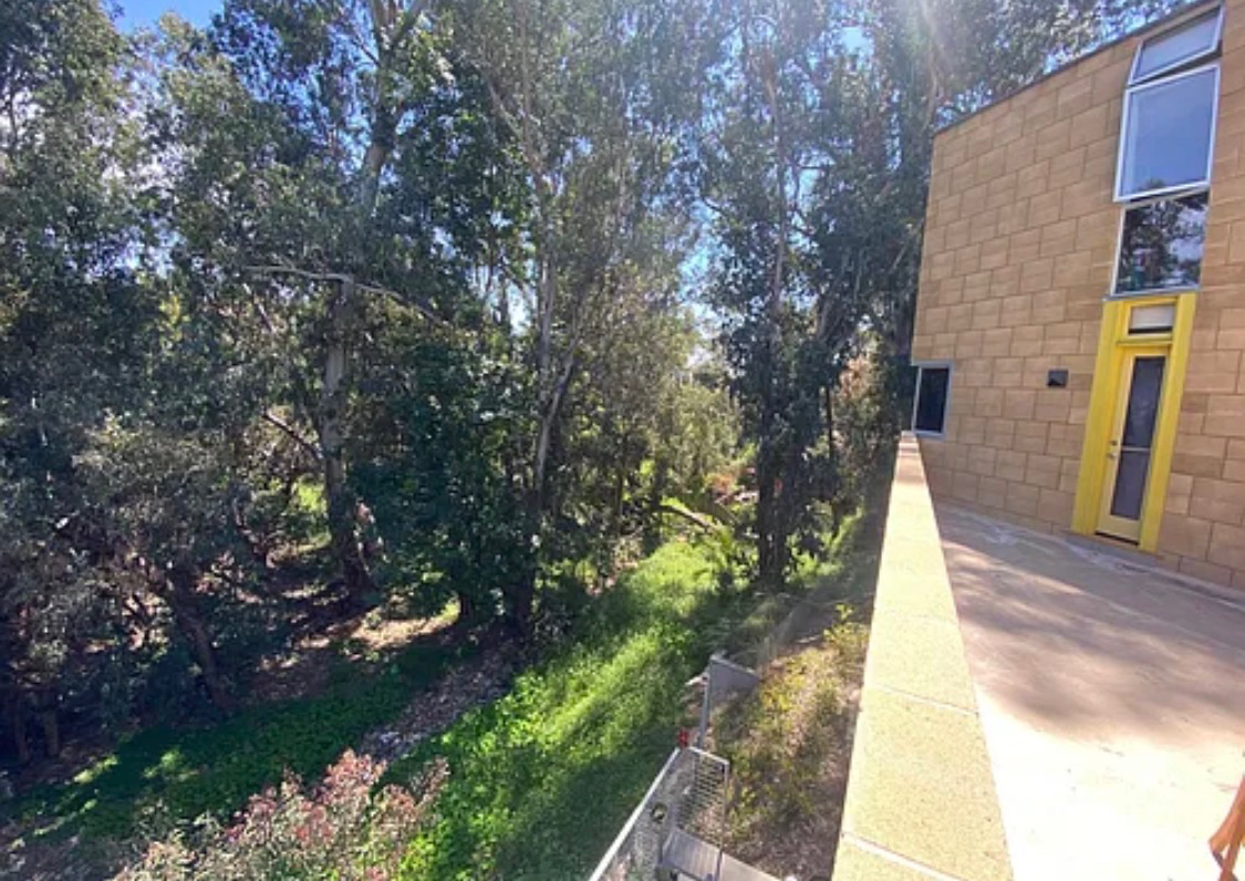 Canyon Sanctuary in the City - Photo 3