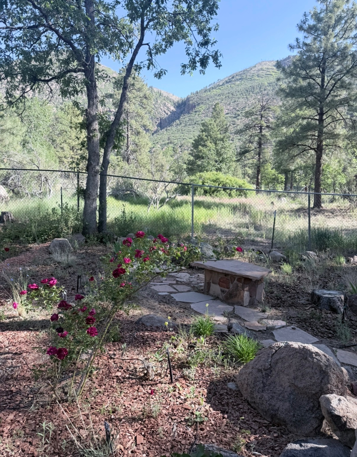 Swiss Manor on Mount Elden - Photo 2