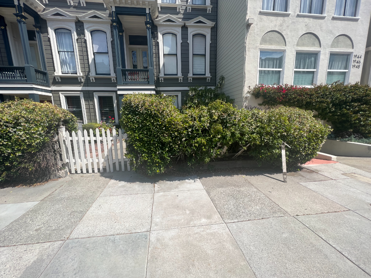 Cute Victorian in Pac Heights by UCSF Health - Mount Zion and CPMC Van Ness Campus (Sutter Health) - Photo 2