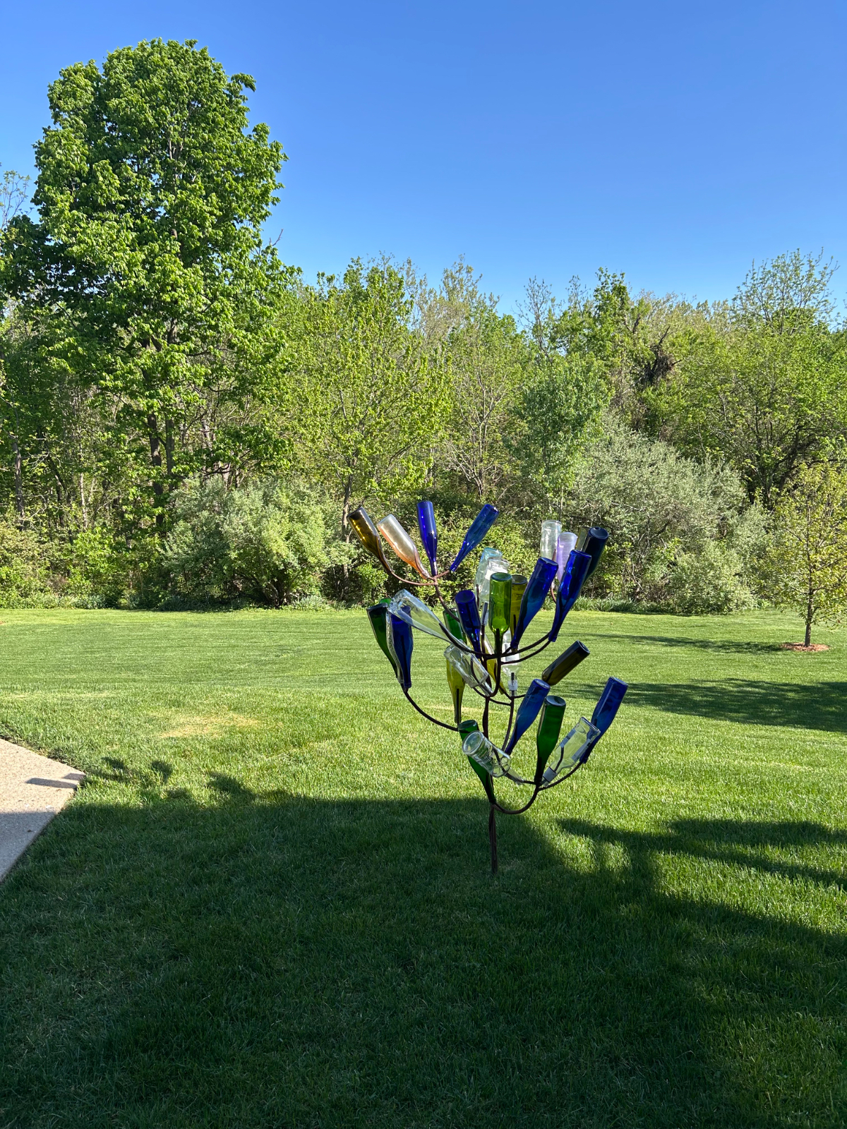 Charming Bluegrass Oasis - Photo 9