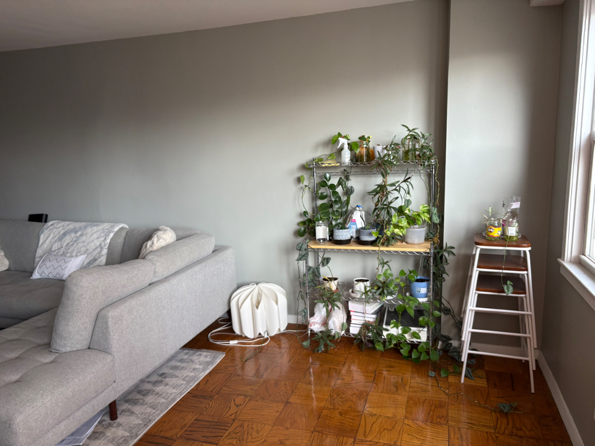 Sunny 1BR Steps from Prospect Park & Subway - Photo 1