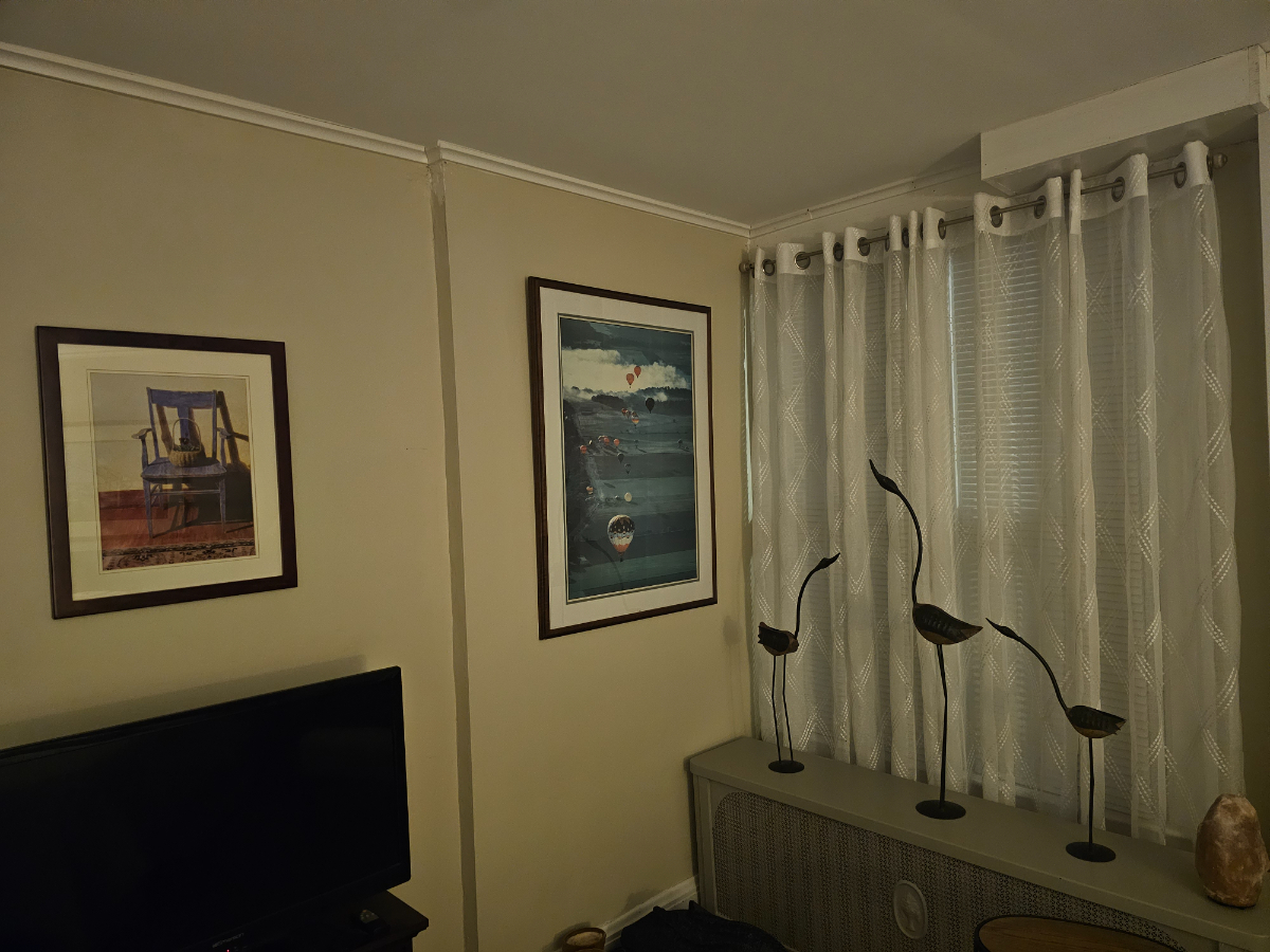 Village - Photo 5