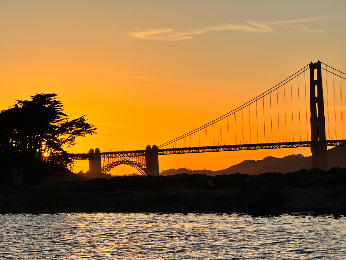 Rare Presidio Room with Sweeping Golden Gate Bridge Views - Photo 5