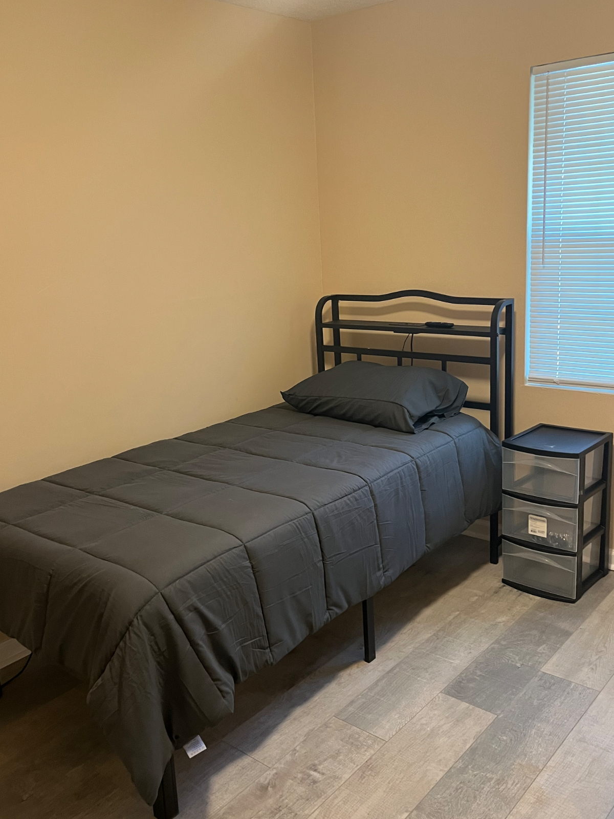 Newly renovated SFH, perfect for traveling professionals and or Students - Photo 5