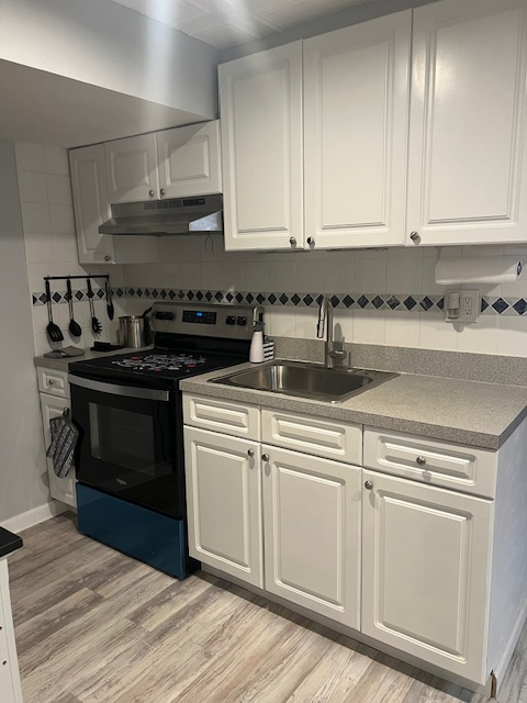 Modern 1BR, recently renovated, near Mall and Nature - Photo 5