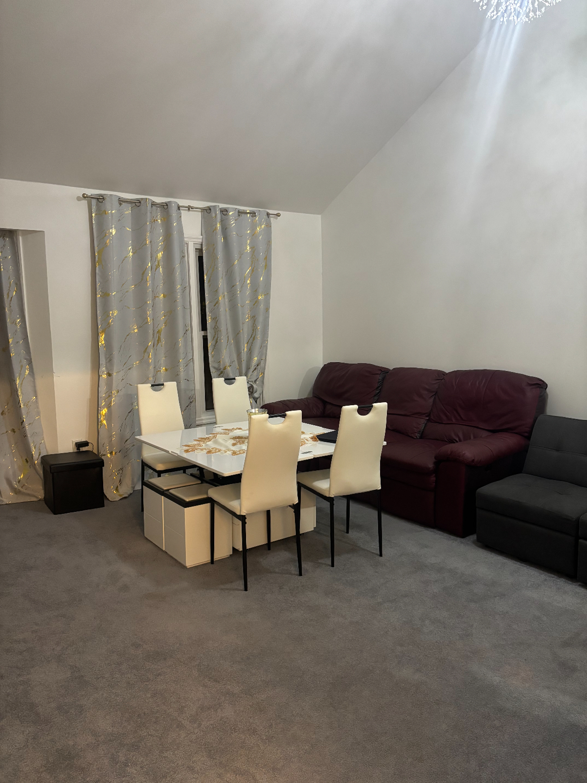Luxury, Albany-center elite apartment, Governor Mansion area - Photo 7