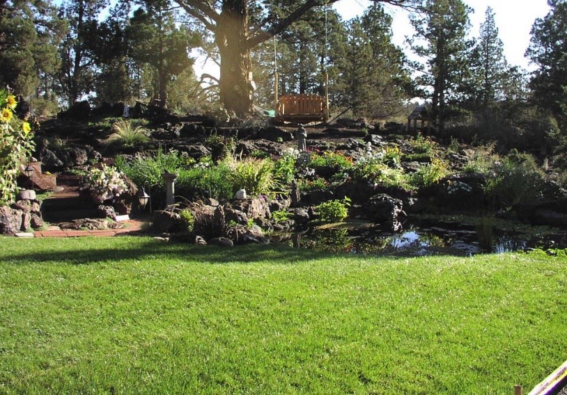 Stoney Ridge ADU Guest House - Photo 6