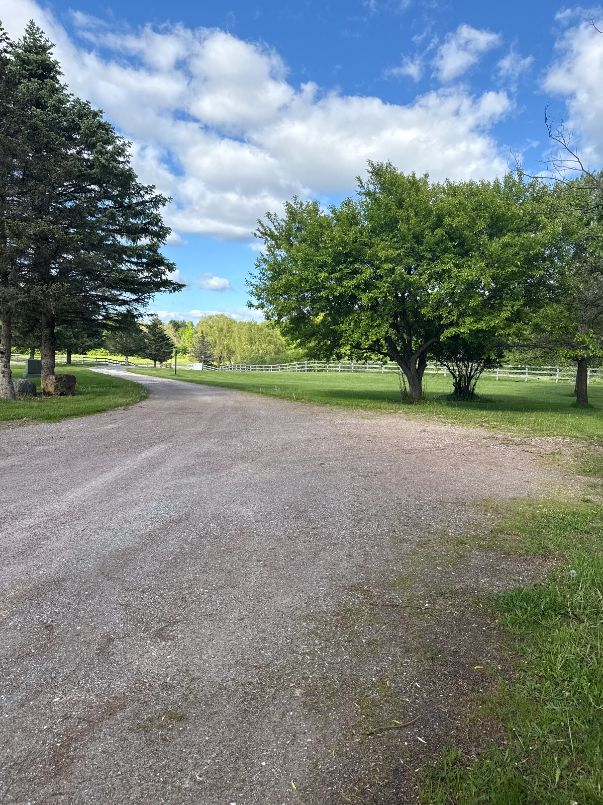 Beautiful 27 acre farmstead only 5 miles from major hospital , malls etc. - Photo 3