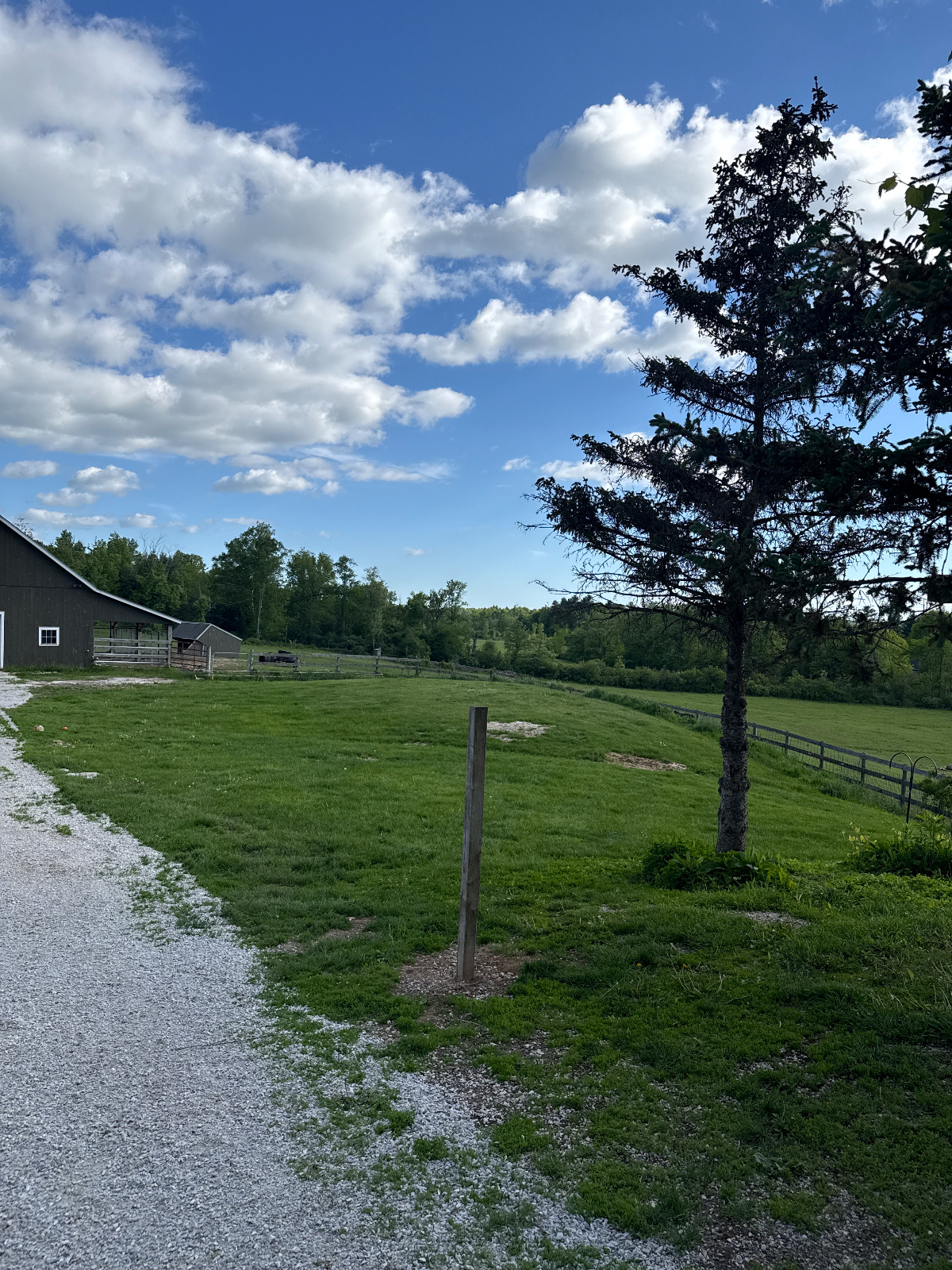 Beautiful 27 acre farmstead only 5 miles from major hospital , malls etc. - Photo 5