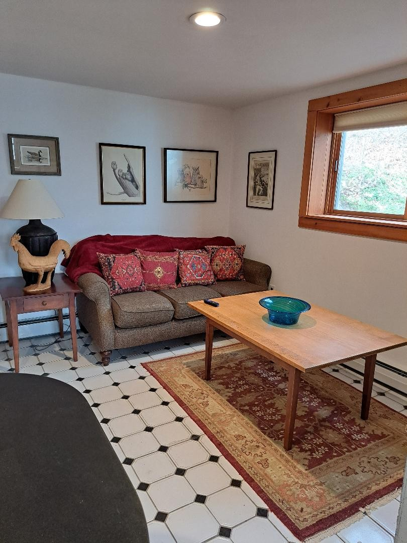 Lower Level apartment w private entry - Photo 8