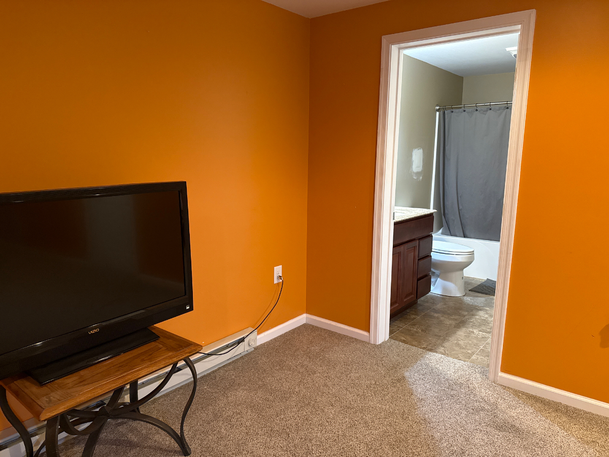 1 BR fully furnished - Photo 5