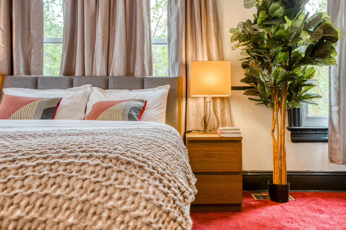Private Bedroom in Columbia Heights 174 2D - Photo 3