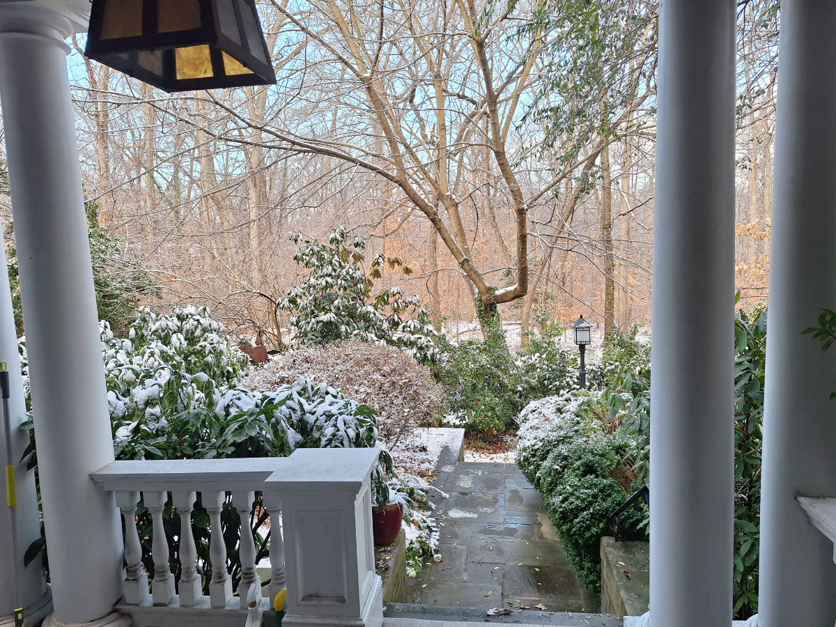 Charming Studio in Mount Pleasant w/ Rock Creek Park at Your Door - Photo 3