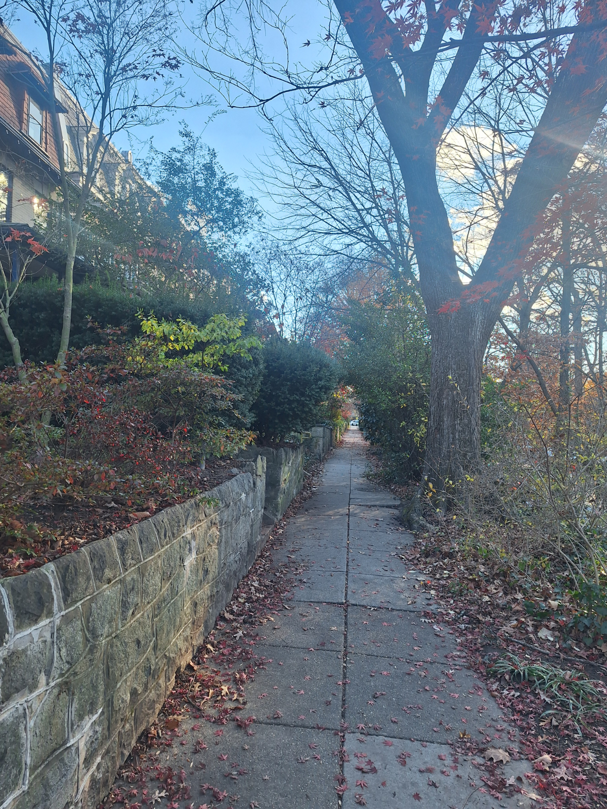 Charming Studio in Mount Pleasant w/ Rock Creek Park at Your Door - Photo 2
