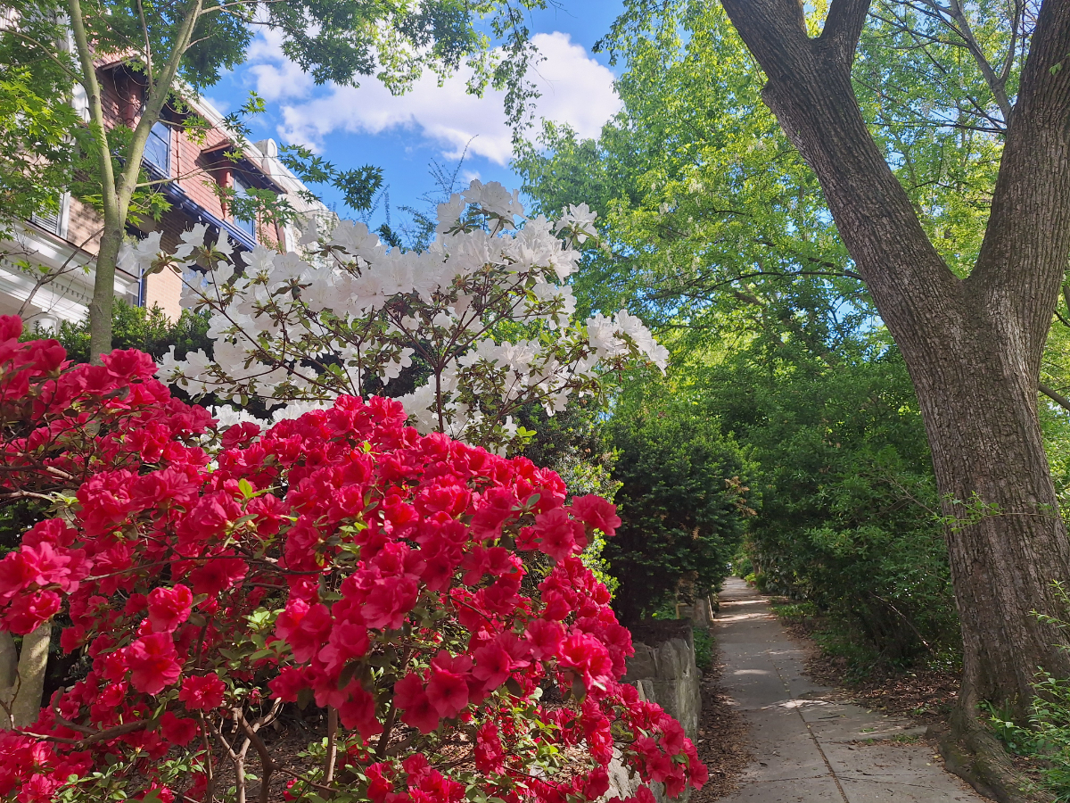Charming Studio in Mount Pleasant w/ Rock Creek Park at Your Door - Photo 4