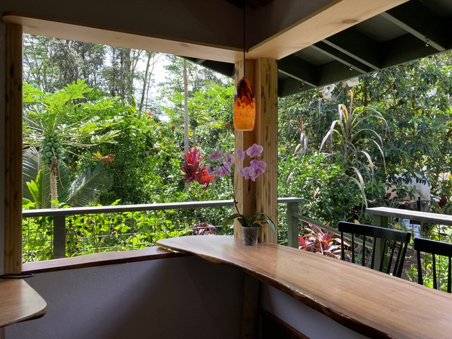 Jungle oasis - Photo 2