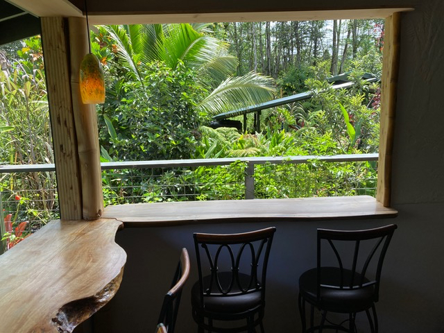 Jungle oasis - Photo 3