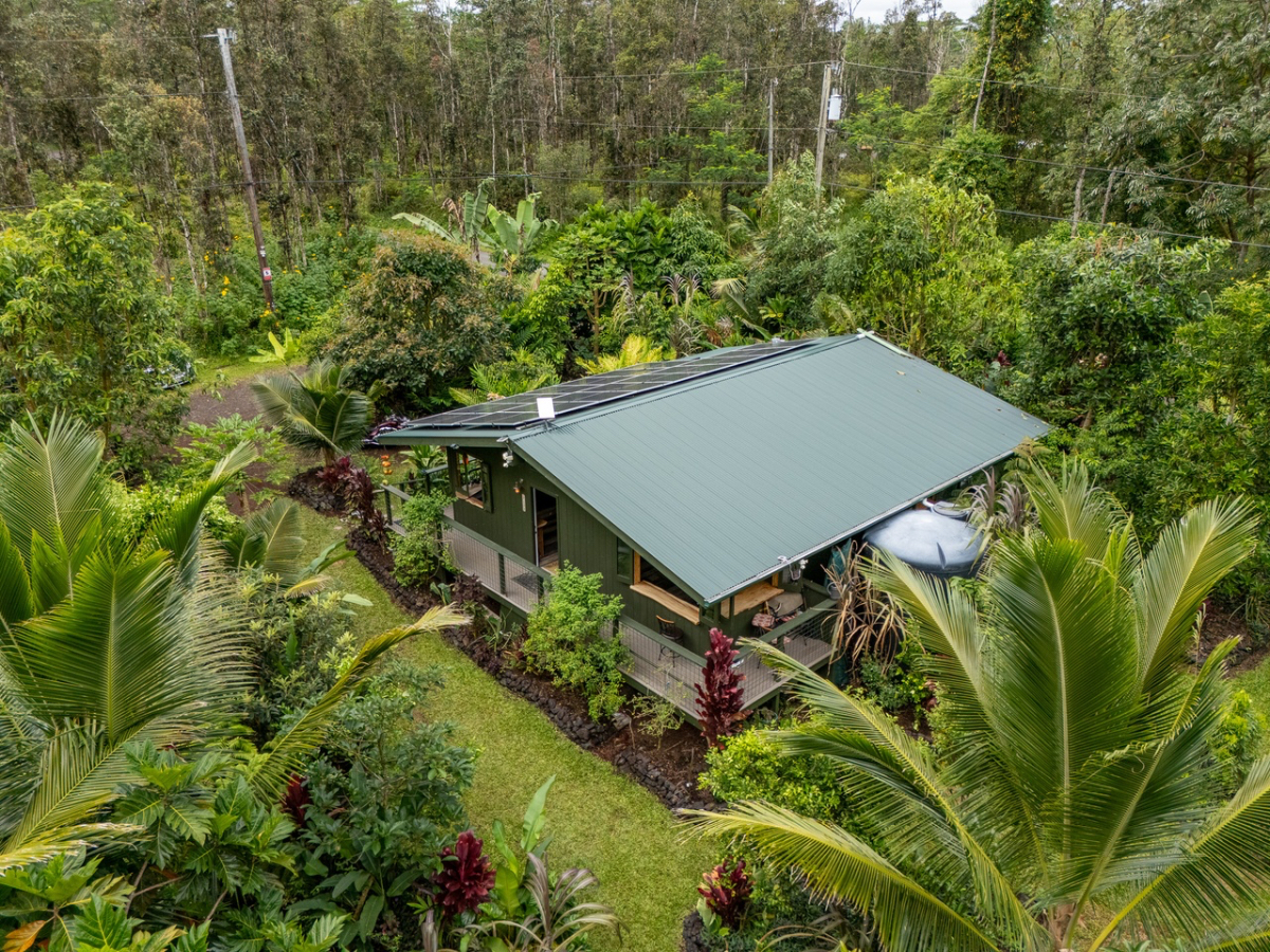 Jungle oasis - Photo 4