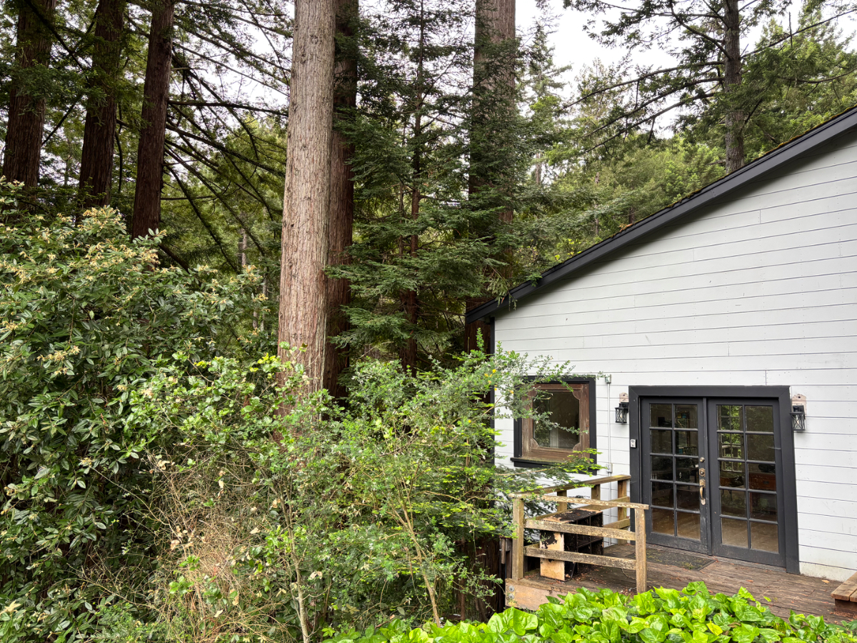 Woodside Studio Cottage - Photo 1