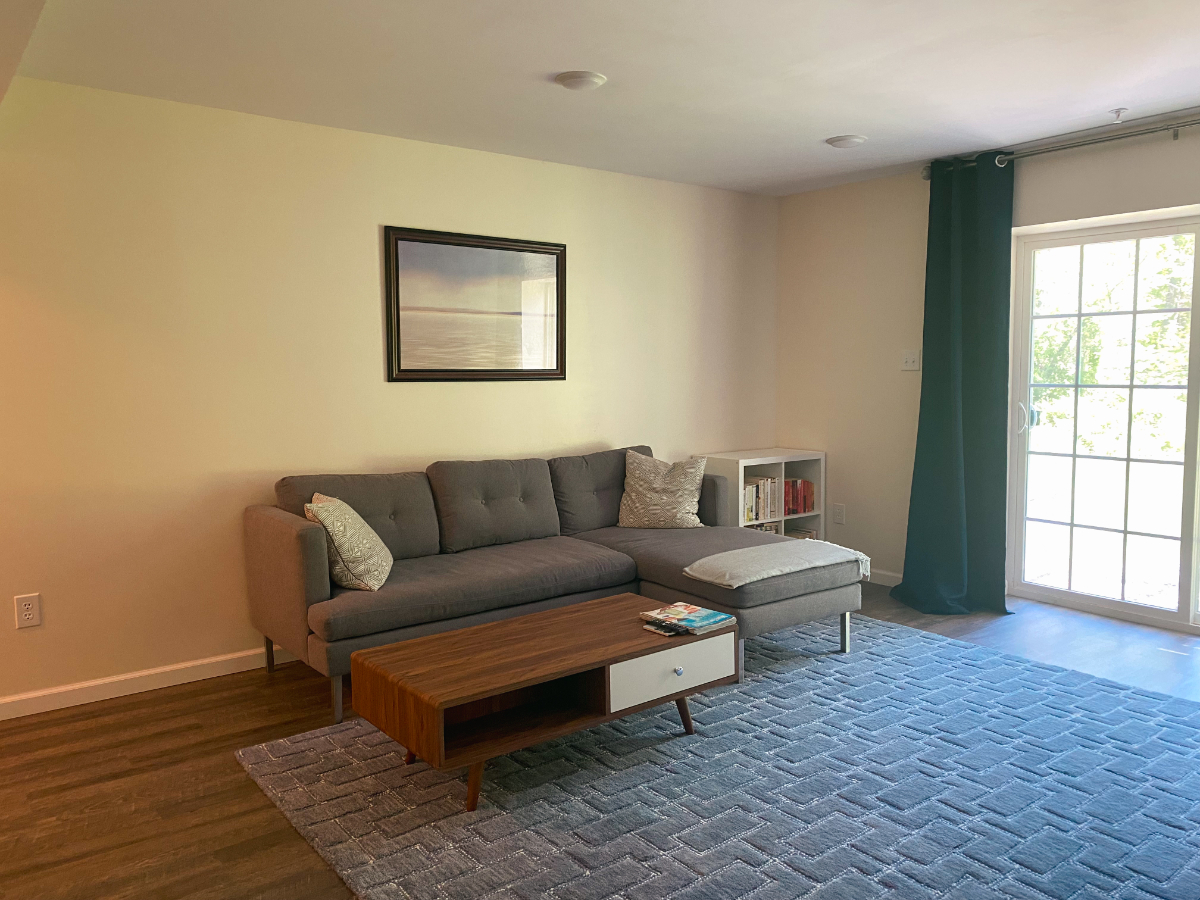Private Lower-Level Suite - Furnished - Photo 2