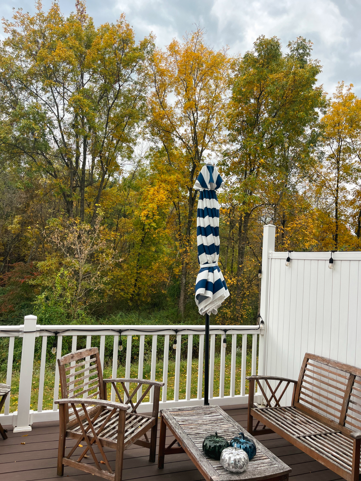 Private Lower-Level Suite - Furnished - Photo 8