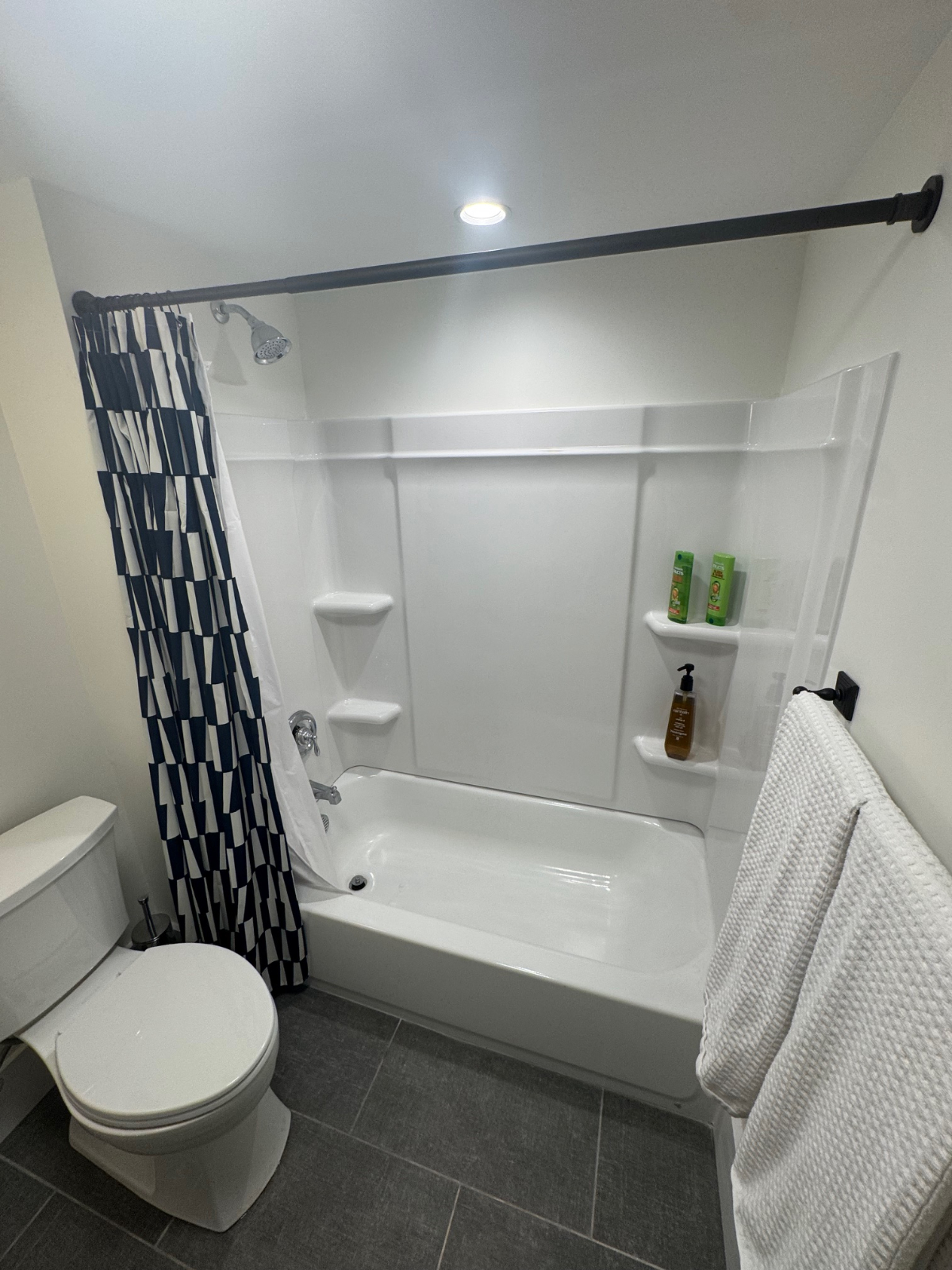 Bright 1-Bedroom Apartment Overlooking Historic Raleigh Rose Garden - Photo 10