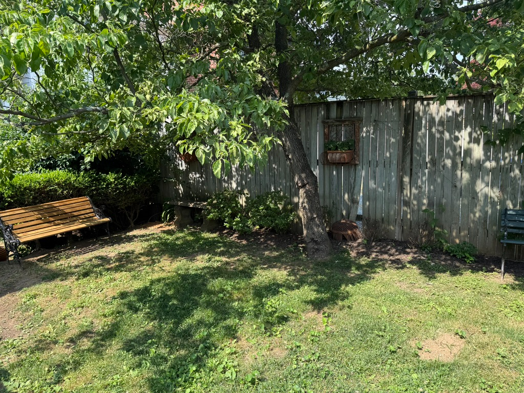 English Basement for Rent with parking in Georgetown/Burleith - Photo 12