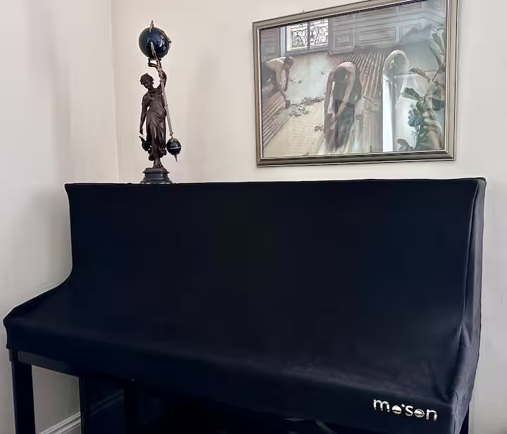 Sunny & Quiet: 3BR 2BA Victorian w/Office & Parking (Duboce Triangle) - Photo 4