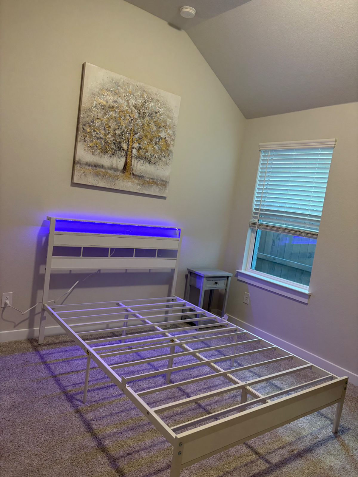 New Unit - Photo 8
