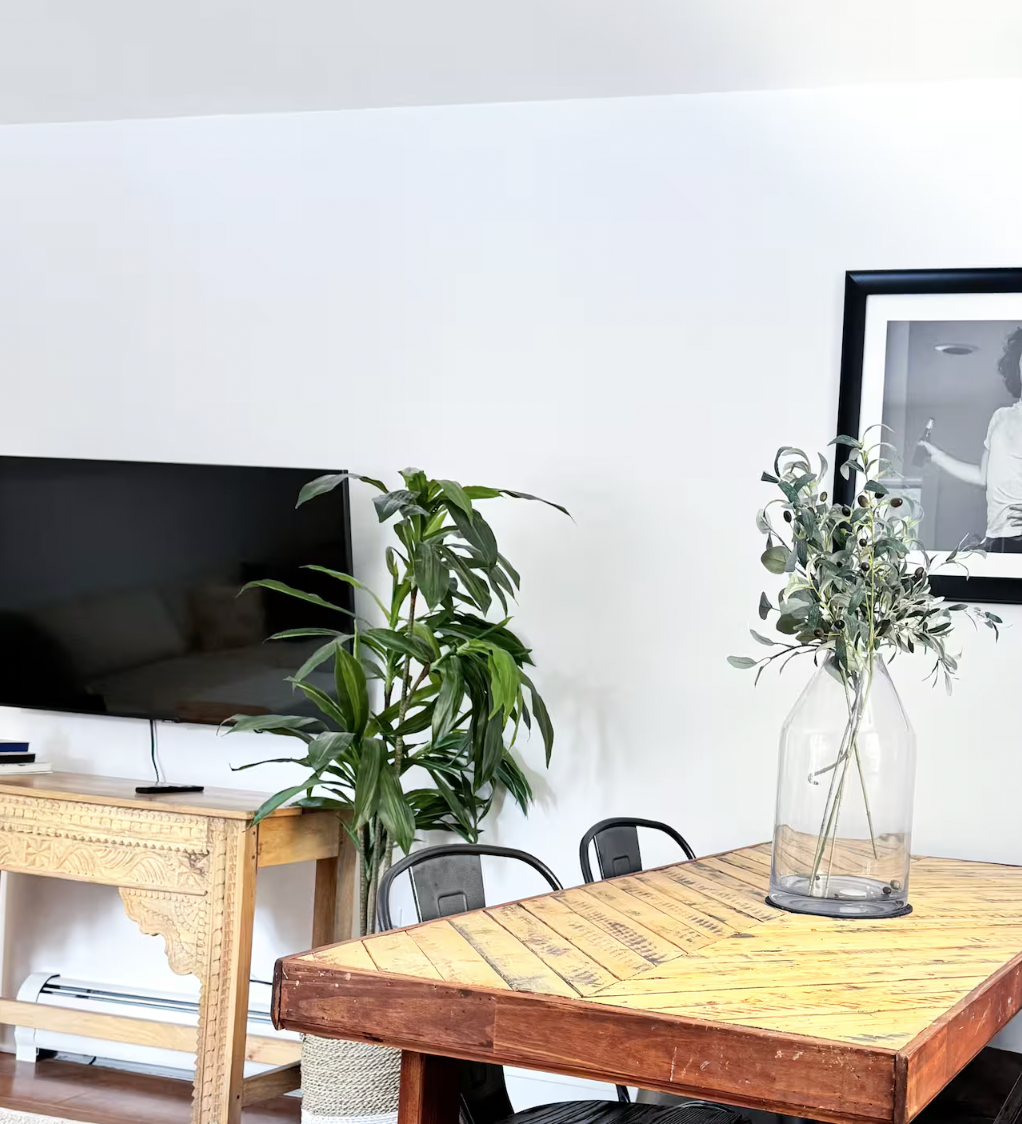 Sunlit One Bedroom Apartment in Mansfield View - Photo 5