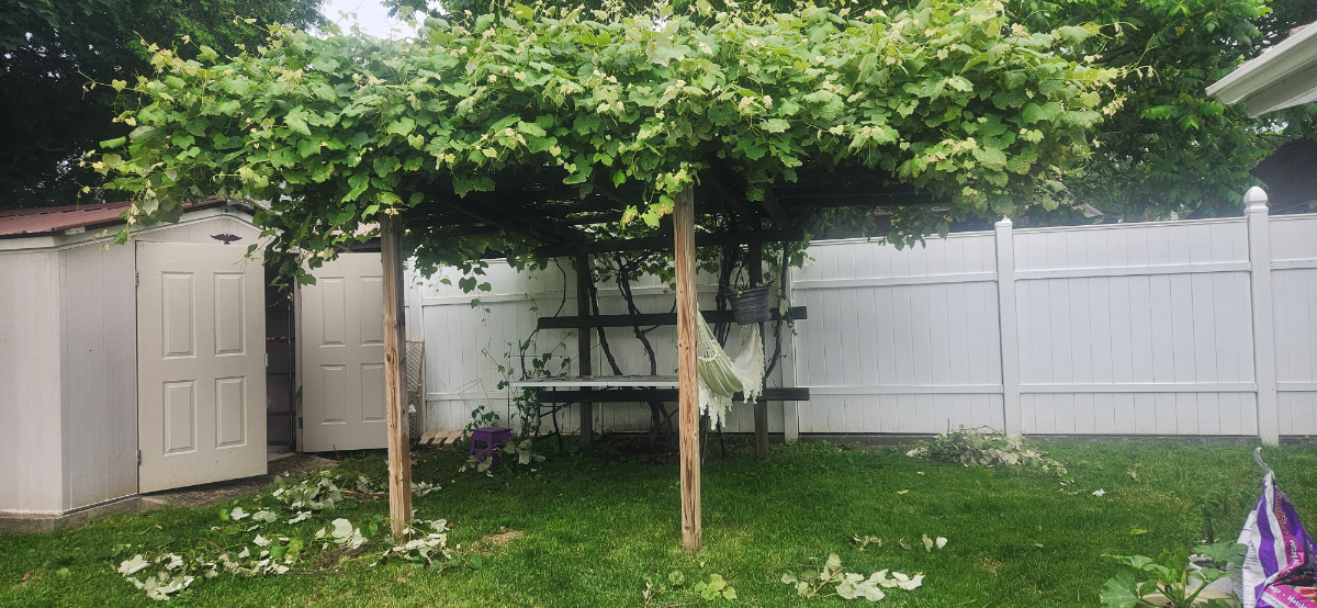 BeausBungalow - Photo 1