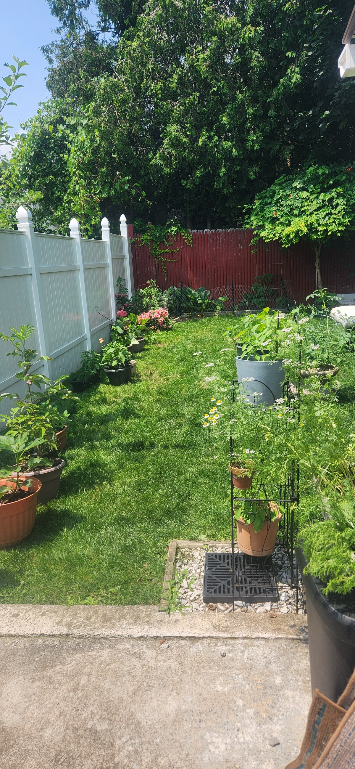 BeausBungalow - Photo 9