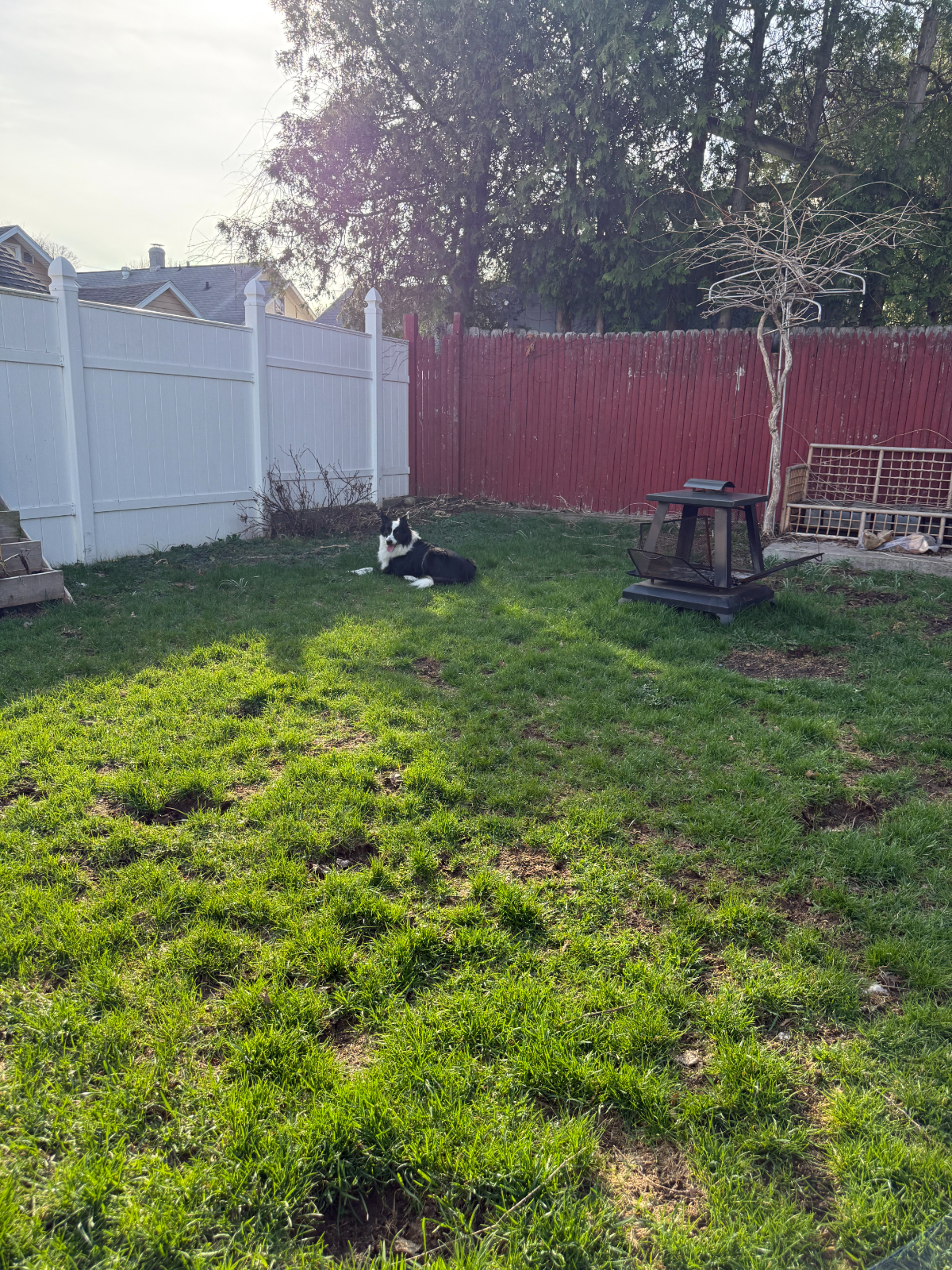 BeausBungalow - Photo 10