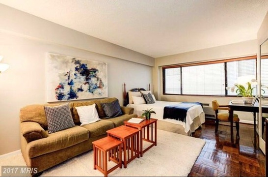 Studio Apartment in Foggy Bottom - Photo 9