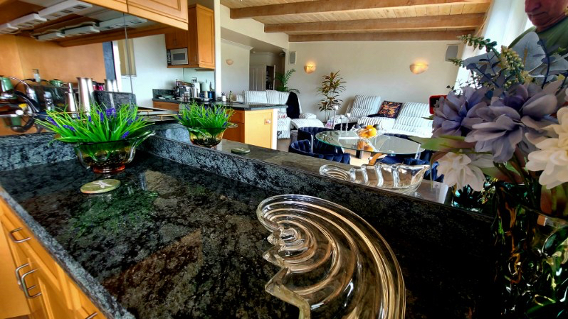 Mission Bay Panorama Views | Birdlife | Serenity | Elegant Waterfront Living - Photo 4