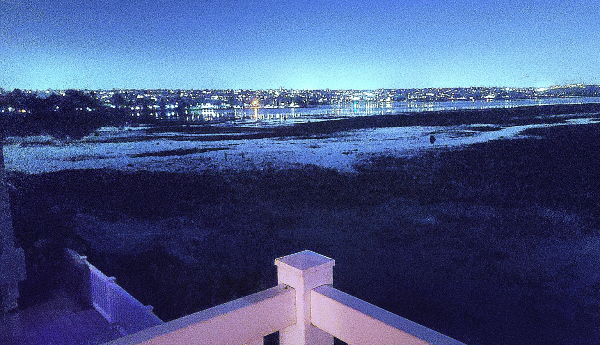 Mission Bay Panorama Views | Birdlife | Serenity | Elegant Waterfront Living - Photo 3